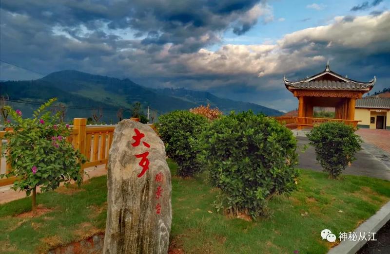 糯禾丰收满山脊，遍地金黄染走廊——大歹苗寨迎来丰收！